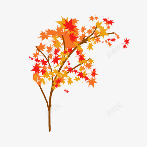 一棵漂亮的枫叶树png免抠素材_新图网 https://ixintu.com 一棵 枫叶树 树叶 树枝 漂亮 红色