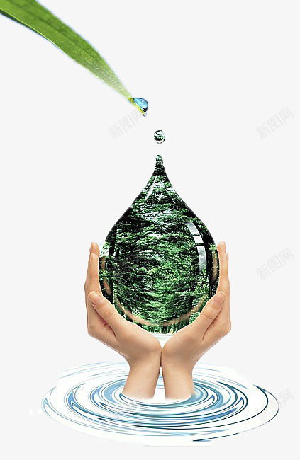 双手呵护的绿色图标png_新图网 https://ixintu.com 双手 呵护 森林 水滴 绿色