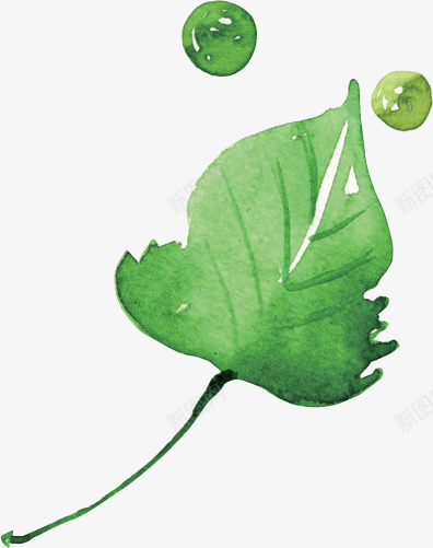 绿色水珠树叶手绘png免抠素材_新图网 https://ixintu.com 手绘 树叶 水珠 绿色