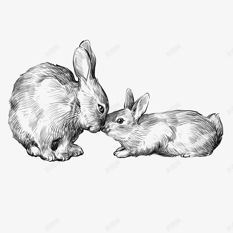 二只兔子png免抠素材_新图网 https://ixintu.com 卡通兔子 卡通动物 卡通手绘 可爱 素描 萌宠