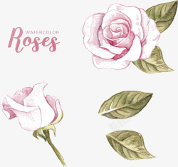 粉红水彩手绘玫瑰矢量图素材