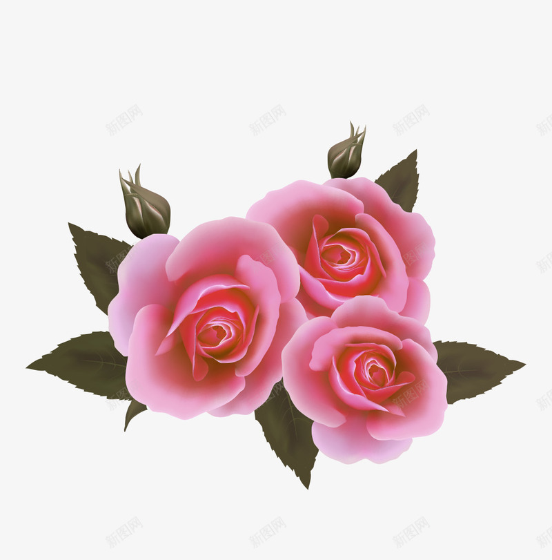 粉红色的三朵玫瑰花png免抠素材_新图网 https://ixintu.com 玫瑰花 粉红色