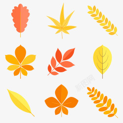彩色秋季叶子矢量图素材