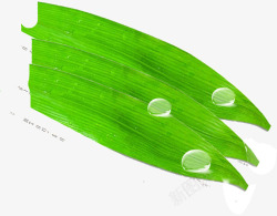 圆润水滴绿叶上的露珠高清图片