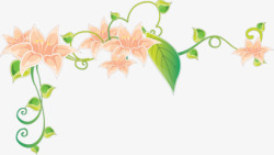 绿叶青藤藤蔓彩绘粉红兰花素材