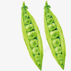 蔬菜宣传单绿色豌豆矢量图高清图片