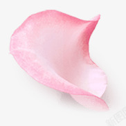 单花瓣粉红色花朵单朵花瓣高清图片