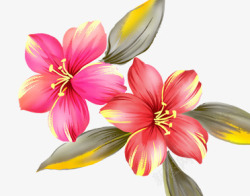手绘粉红色花朵树叶装饰素材