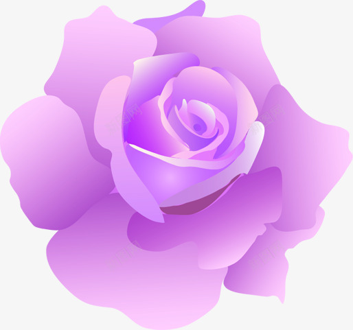 紫色分层花朵玫瑰可爱png免抠素材_新图网 https://ixintu.com 分层 可爱 玫瑰 紫色 花朵