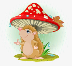 躲雨蘑菇下躲雨的刺猬高清图片