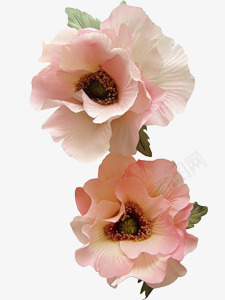 创意合成效果粉红色的花卉png免抠素材_新图网 https://ixintu.com 创意 合成 效果 粉红色 花卉