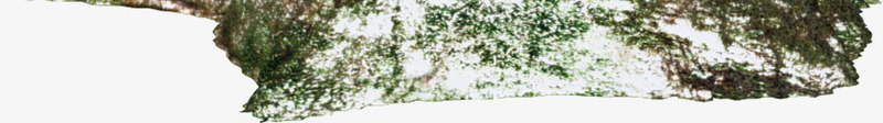 冬树png免抠素材_新图网 https://ixintu.com 免抠 兔子 冬季 卡通树屋 树 树屋 素材 装饰