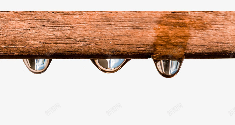 木杆上的水珠png免抠素材_新图网 https://ixintu.com 木 木头 杆子 水 水珠 雨水