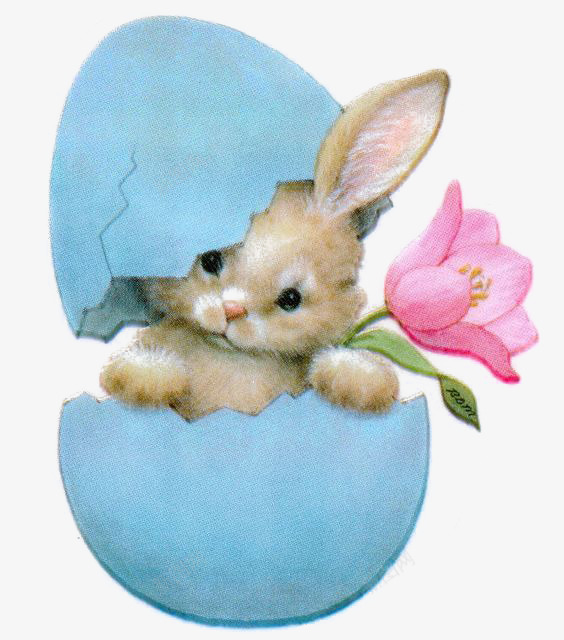 蛋壳小兔子png免抠素材_新图网 https://ixintu.com 兔子 动物 卡通 手绘 插画 花朵 蛋壳