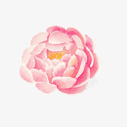 粉红色莲花素材