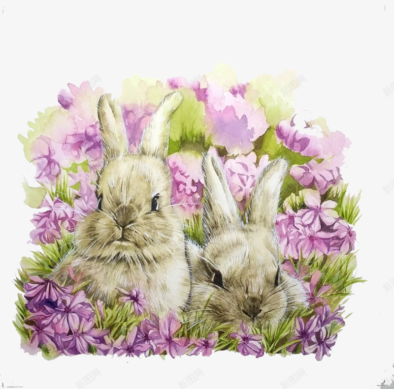 花丛中的兔子psd免抠素材_新图网 https://ixintu.com 灰兔子 紫色 花丛 装饰素材
