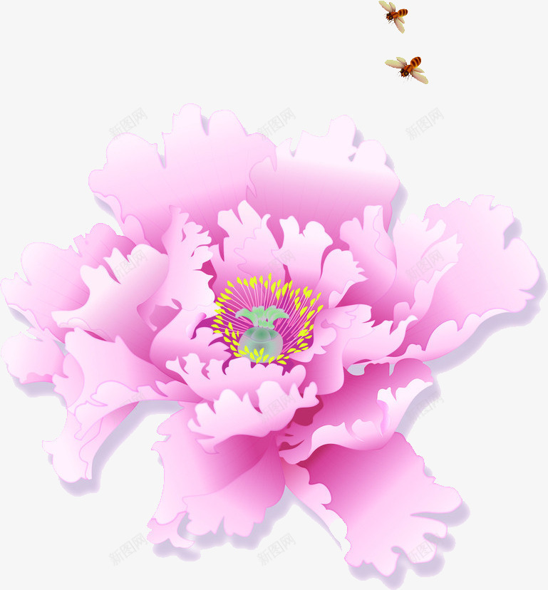 合成创意效果粉红色的花卉植物png免抠素材_新图网 https://ixintu.com 创意 合成 效果 植物 粉红色 花卉