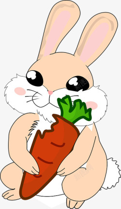 一只兔子正在吃东西素材