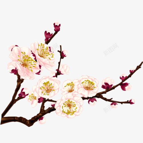 粉色花朵梅花造型png免抠素材_新图网 https://ixintu.com 梅花 粉色 花朵 造型