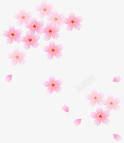 唯美粉红色花瓣飘落素材