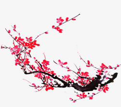 红色梅花大树美景素材