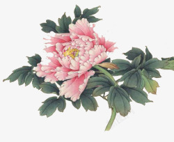 粉红彩绘牡丹花素材