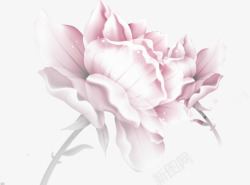 粉色手绘花朵水珠装饰素材