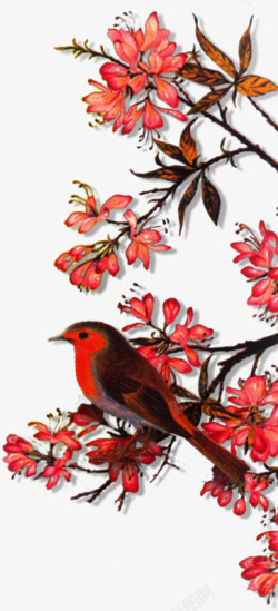 红花枫叶小鸟素材