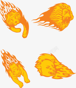 火焰老虎狮子动物特效素材