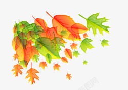 手绘秋天的叶子素材