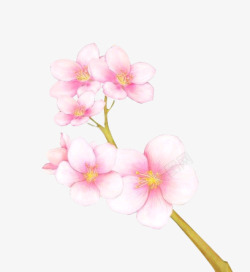 手绘粉红色桃花树枝素材