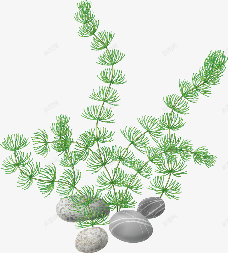 石头上的绿植png免抠素材_新图网 https://ixintu.com PNG图形 PNG装饰 植物 石头 绿植 装饰