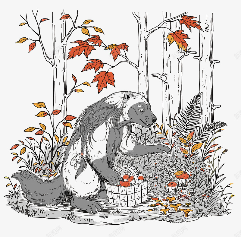 采蘑菇的动物png免抠素材_新图网 https://ixintu.com 动物 卡通 可爱 手绘 枫叶 树木 森林 篮子 蘑菇