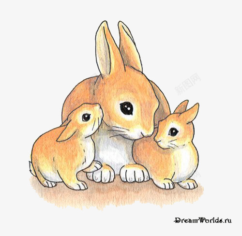 兔子妈妈的一家手绘图png免抠素材_新图网 https://ixintu.com 兔妈妈 兔子 兔宝宝 手绘