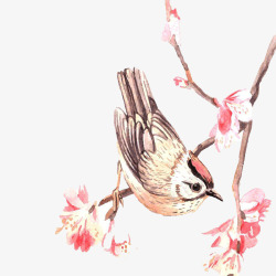 中国古典花鸟图素材