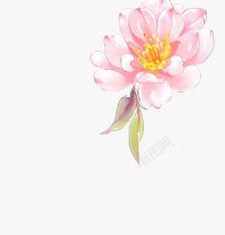 创意手绘粉红色的菊花素材