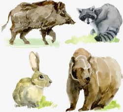 手绘野猪水彩动物矢量图高清图片