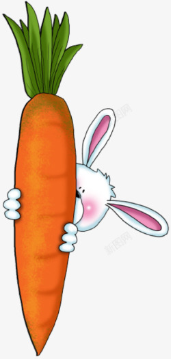 橙色兔子小兔子拔萝卜高清图片