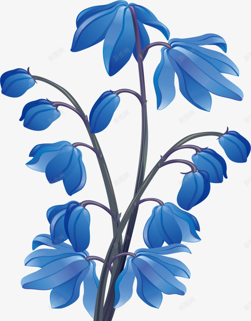 手绘蓝色花朵png免抠素材_新图网 https://ixintu.com 手绘 枝条 水彩 简约 花朵 花瓣 花苞 蓝色