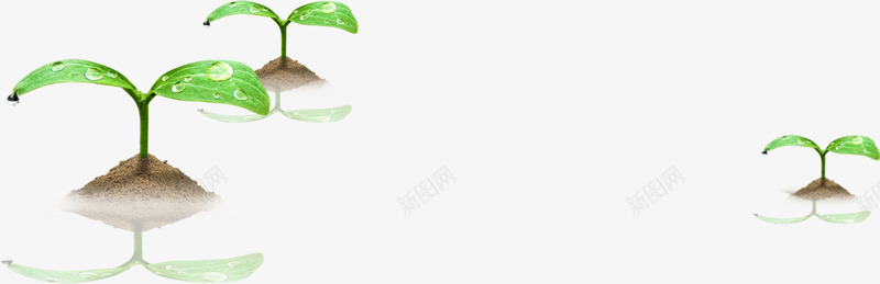 绿色嫩芽水珠装饰png免抠素材_新图网 https://ixintu.com 嫩芽 水珠 绿色 装饰