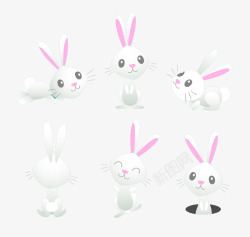 6款白色兔子矢量图素材