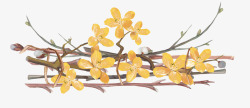 花苞插画水彩藤条黄色小花装饰高清图片