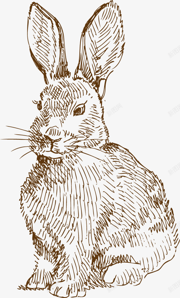 兔子手绘素描png免抠素材_新图网 https://ixintu.com 兔子 动物 家禽 平面设计 手绘 素描