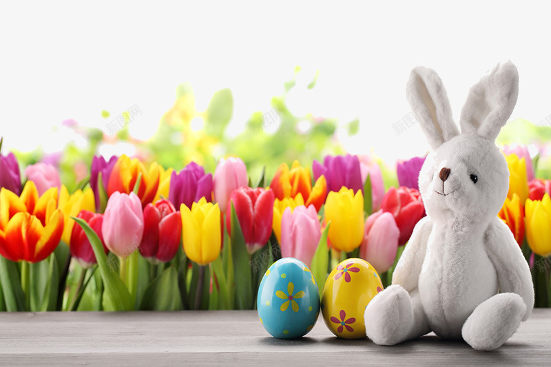 可爱的复活节彩蛋png免抠素材_新图网 https://ixintu.com 小兔子 玩具 美丽风景 自然风光 草地 鲜花