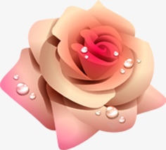 米色手绘水珠玫瑰七夕情人节素材