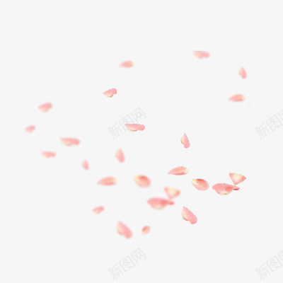 粉红花朵漂萝装饰png免抠素材_新图网 https://ixintu.com 粉红 花朵 装饰