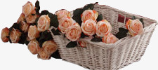创意摄影粉红色的花篮玫瑰花素材