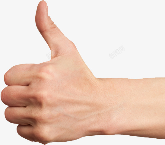 拇指png免抠素材_新图网 https://ixintu.com 人物 手势 手势合集 手势喻意 手型 手部特写 拇指