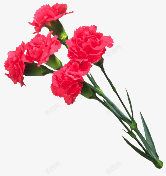 粉红色花朵夏季装饰png免抠素材_新图网 https://ixintu.com 夏季 粉红色 花朵 装饰