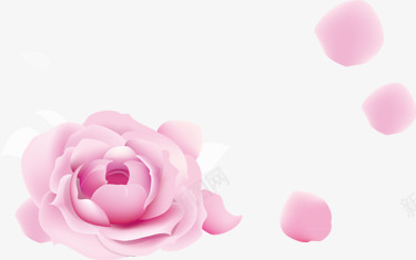 创意合成粉红色的玫瑰花合成png免抠素材_新图网 https://ixintu.com 创意 合成 玫瑰花 粉红色 设计